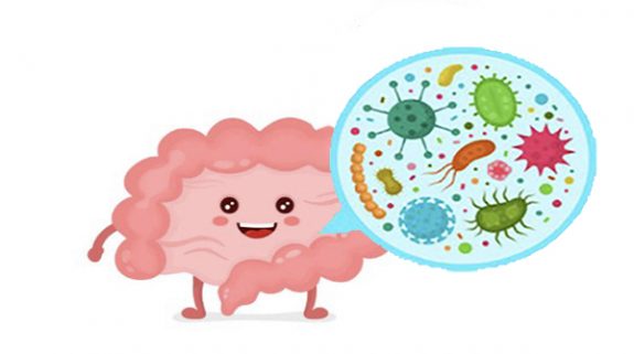 Do you know your friendly bacteria? | IMI - Integrated Medicine Institute